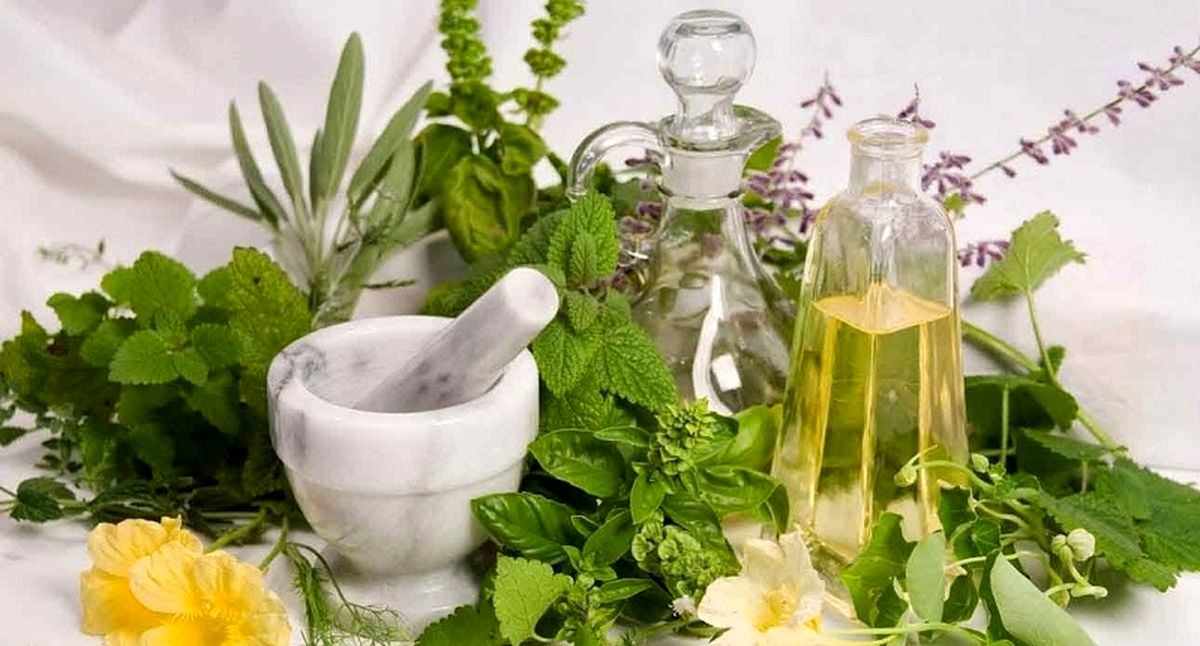 آیا سلطان گیاهان دارویی را میشناسید؟