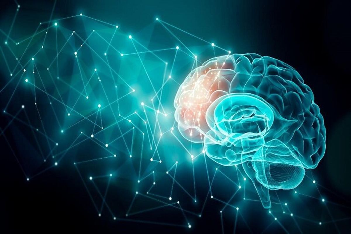 یک تکنیک جدید برای خواندن افکار انسانها