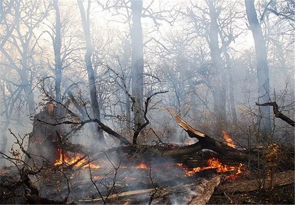 آتش سوزی در جنگل های گیلان کاملا اطفا شد