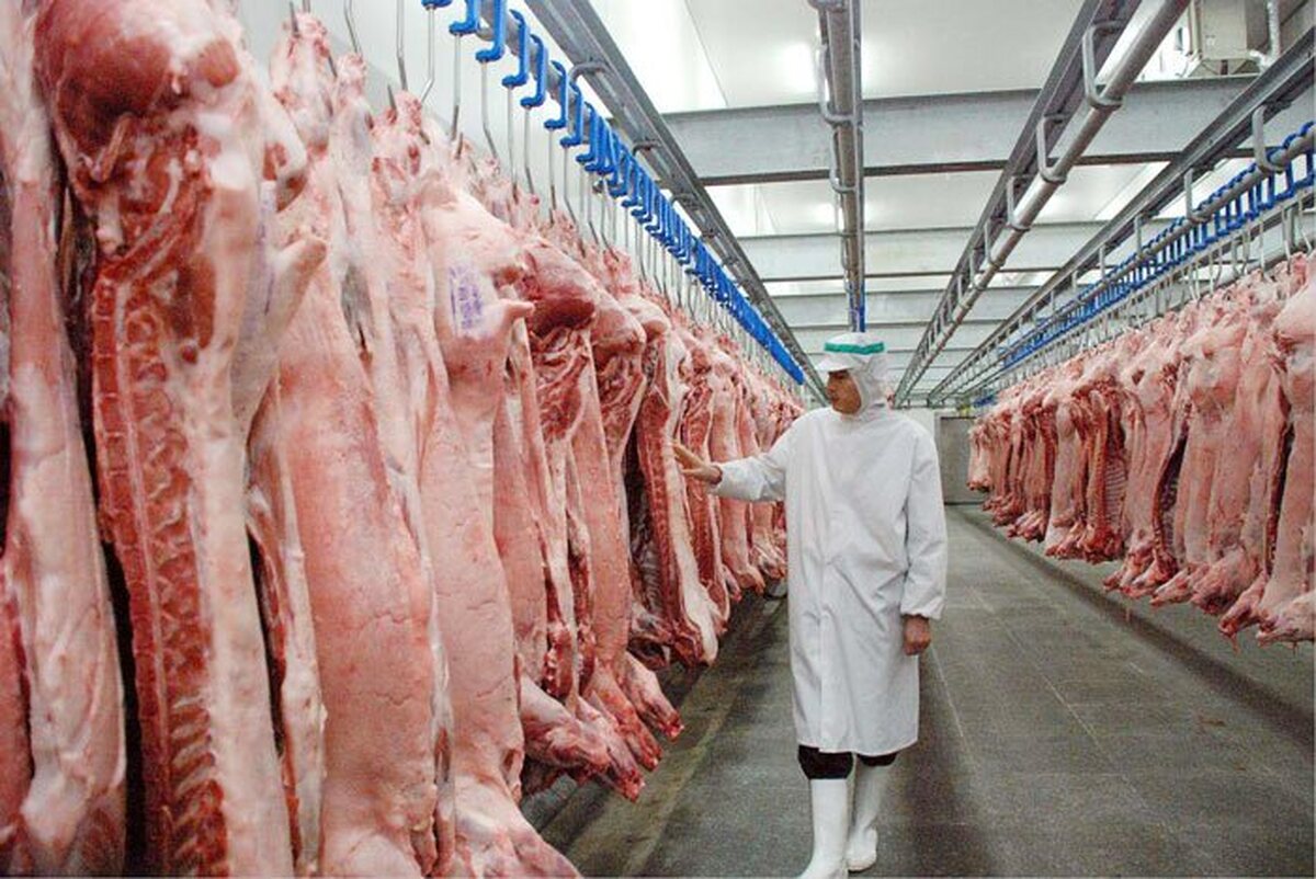 واردات گوشت ادامه دارد؟ + قیمت رسمی
