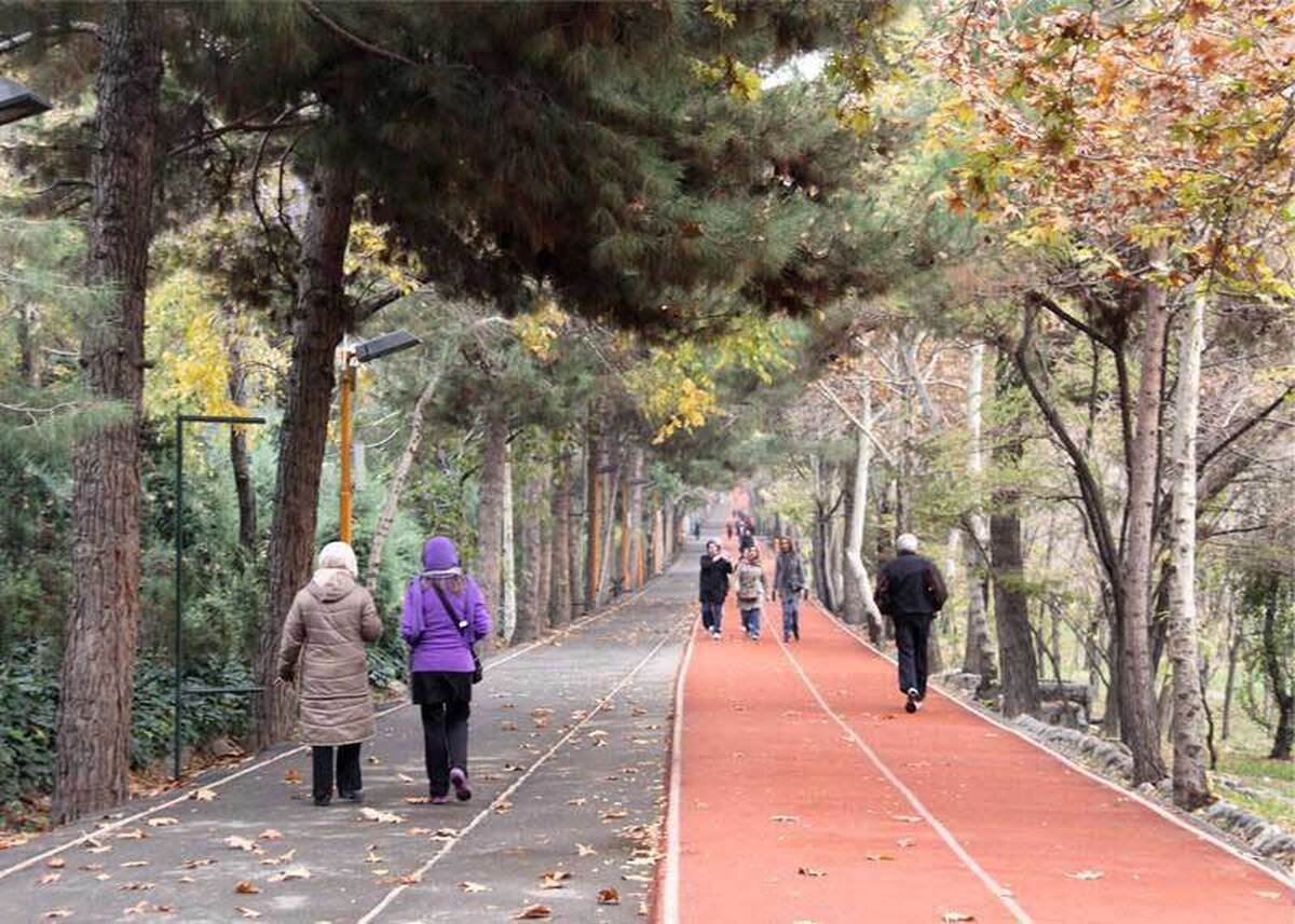 تاثیر جادههای تندرستی بر آینده شهرها