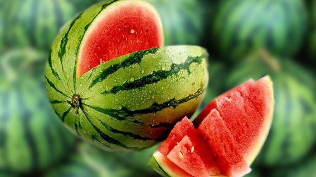 میوههای تابستانه در سراشیبی قیمت لیست قیمت انواع میوه|