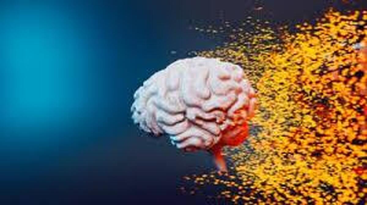 ارتباط تکامل مغز انسان با افزایش نرخ ابتلا به اوتیسم