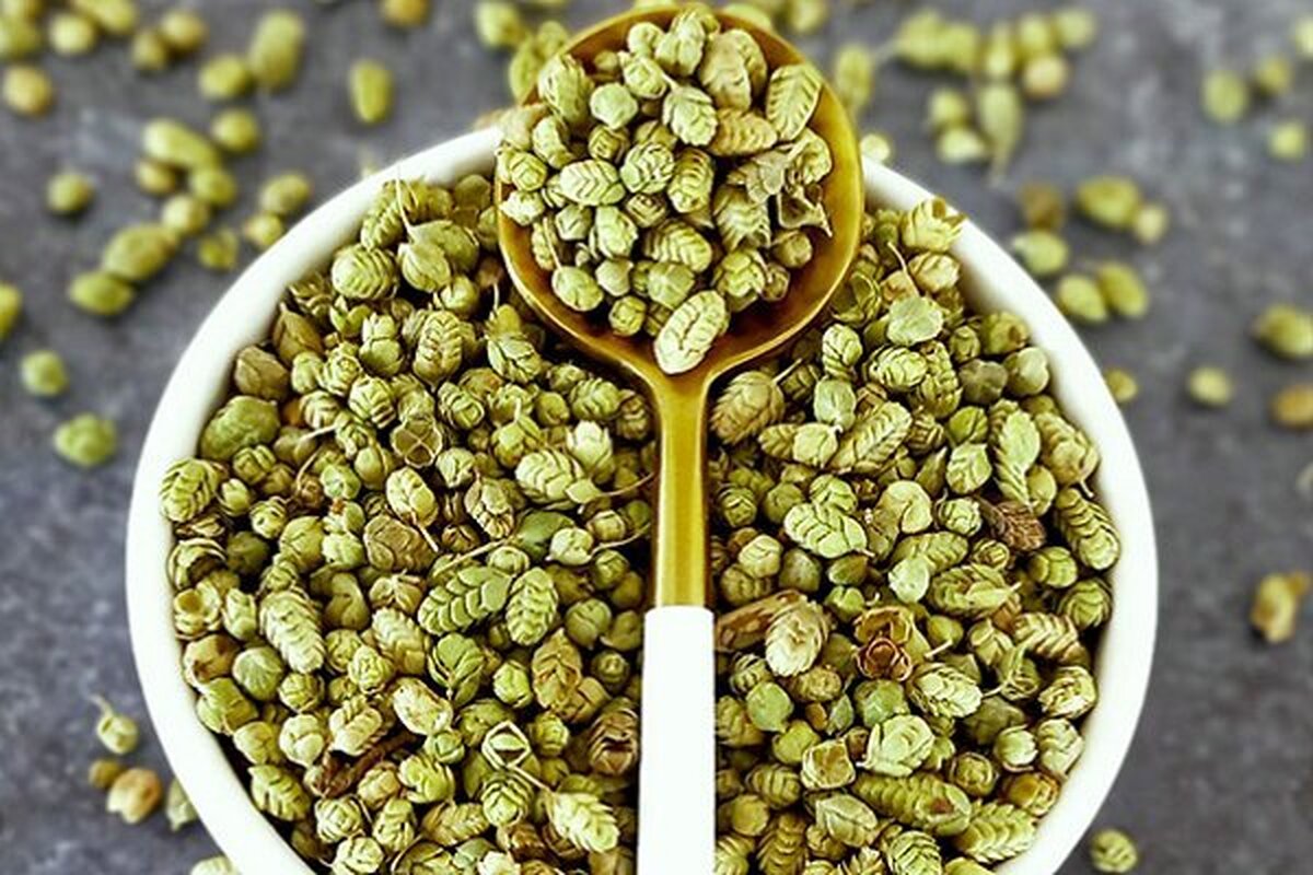 معرفی ادویه اورگانو و خواص آن