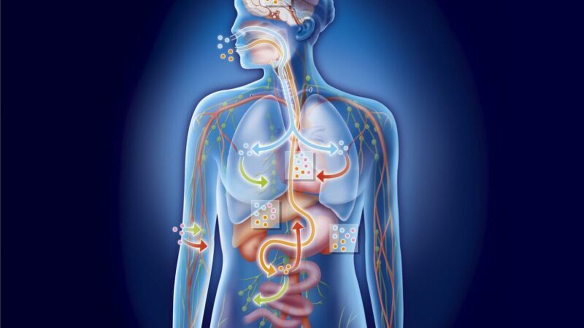 مکانیسم جدیدی برای تسریع سوزاندن انرژی در بدن