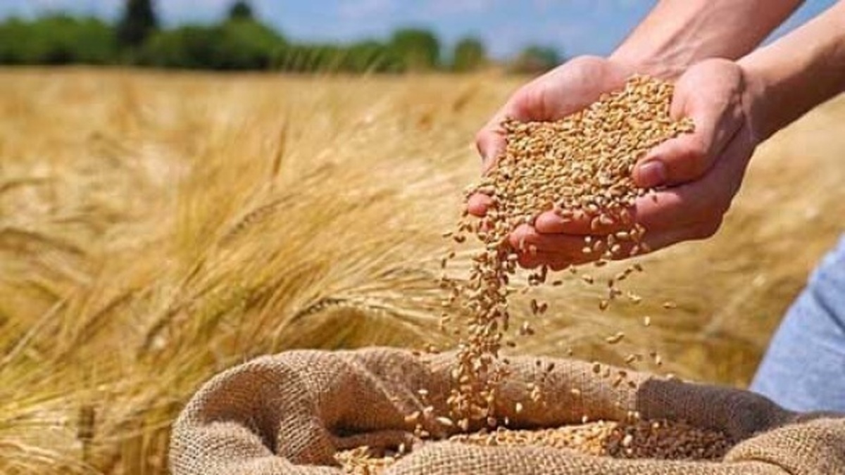 نرخ خرید تضمینی کالاهای اساسی پیش از تیرماه تعیین میشود